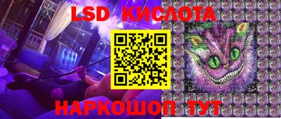 крисы Славянск-на-Кубани