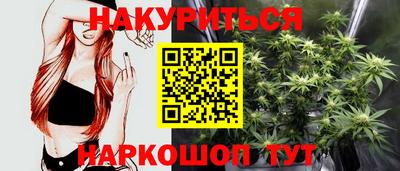 крисы Славянск-на-Кубани