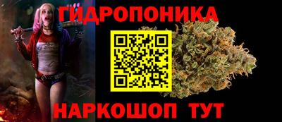 ECSTASY Славгород