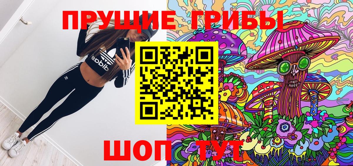 Галлюциногенные грибы Magic Shrooms  Галлюциногенные грибы ЛСД  Новодвинск  Вход с VPN 